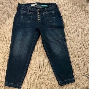 Anthropologie High Rise Slim Jeans. Dark Denim. Size 16 W Plus
